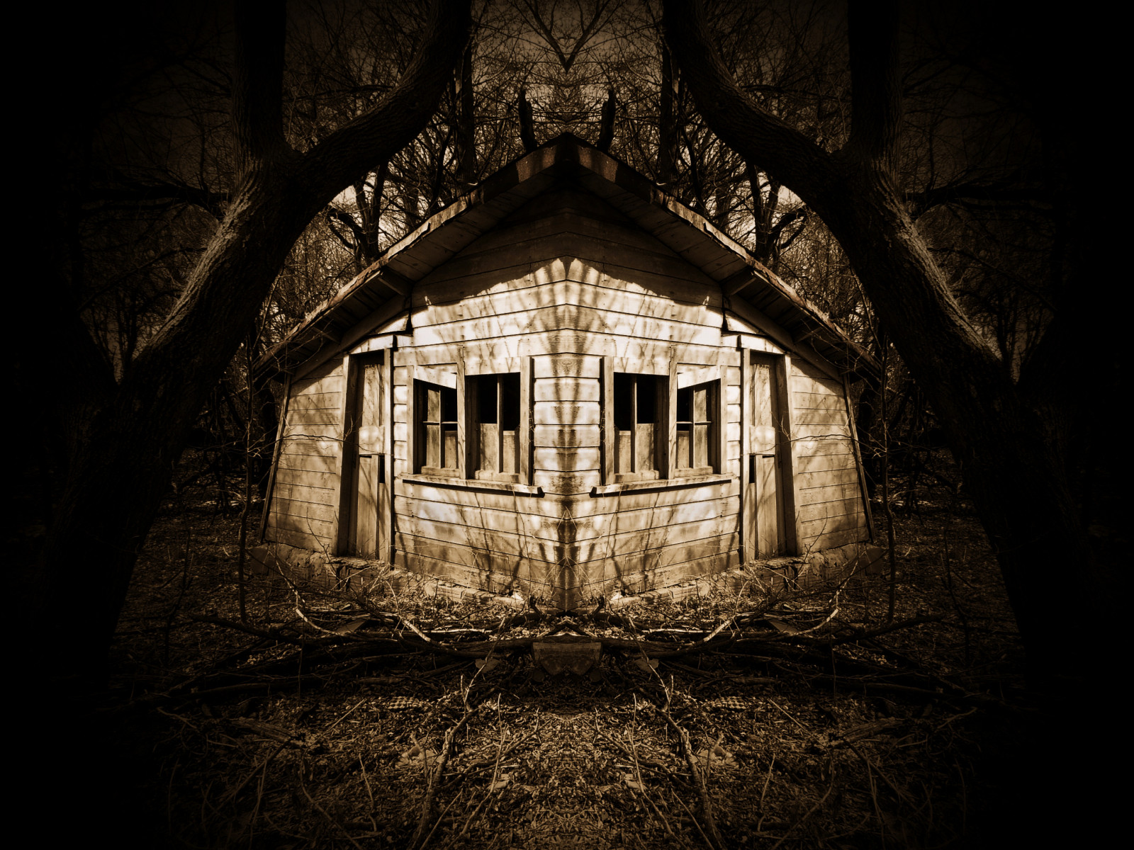 černobílý, okno, noc, opuštěný, nebe, fotografování, dřevo, symetrie, Dům, hospodařit, textura, Spojené státy americké, texturou, Minnesota, venkovský, země, strom, blinkagain, kůlna, tma, zemědělství, besteverdigitalphotography, bestevercompetitiongroup, počítač tapeta, Černý a bílý, monochromatické fotografování, zátiší fotografování, Butterfield, watonwancounty, stock photography