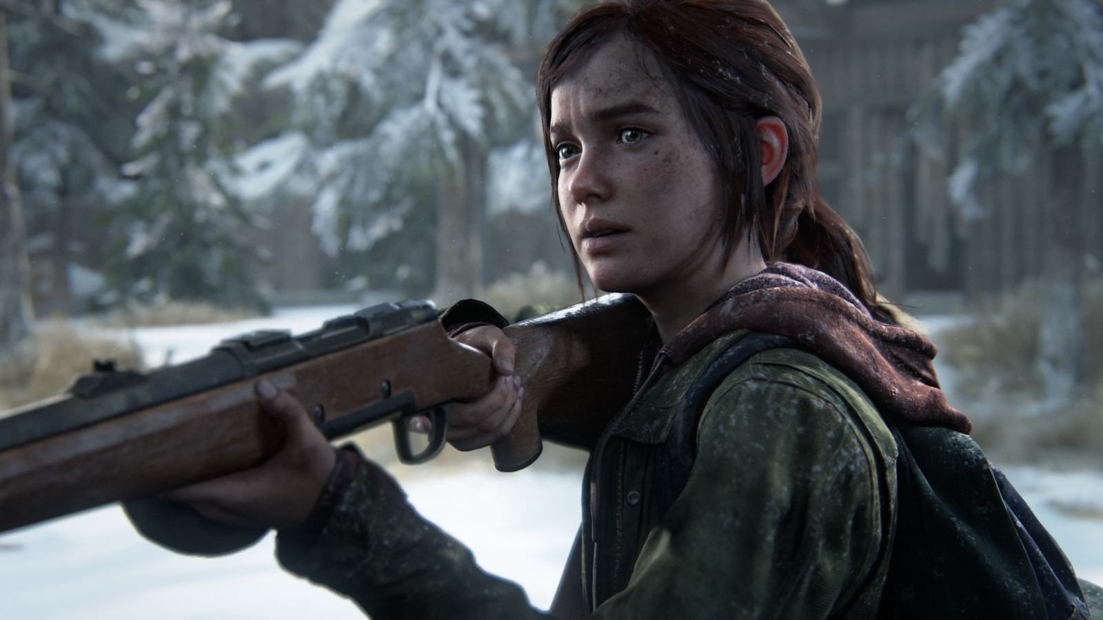 Poslední z nás, Ellie Williams, videohry, pušky