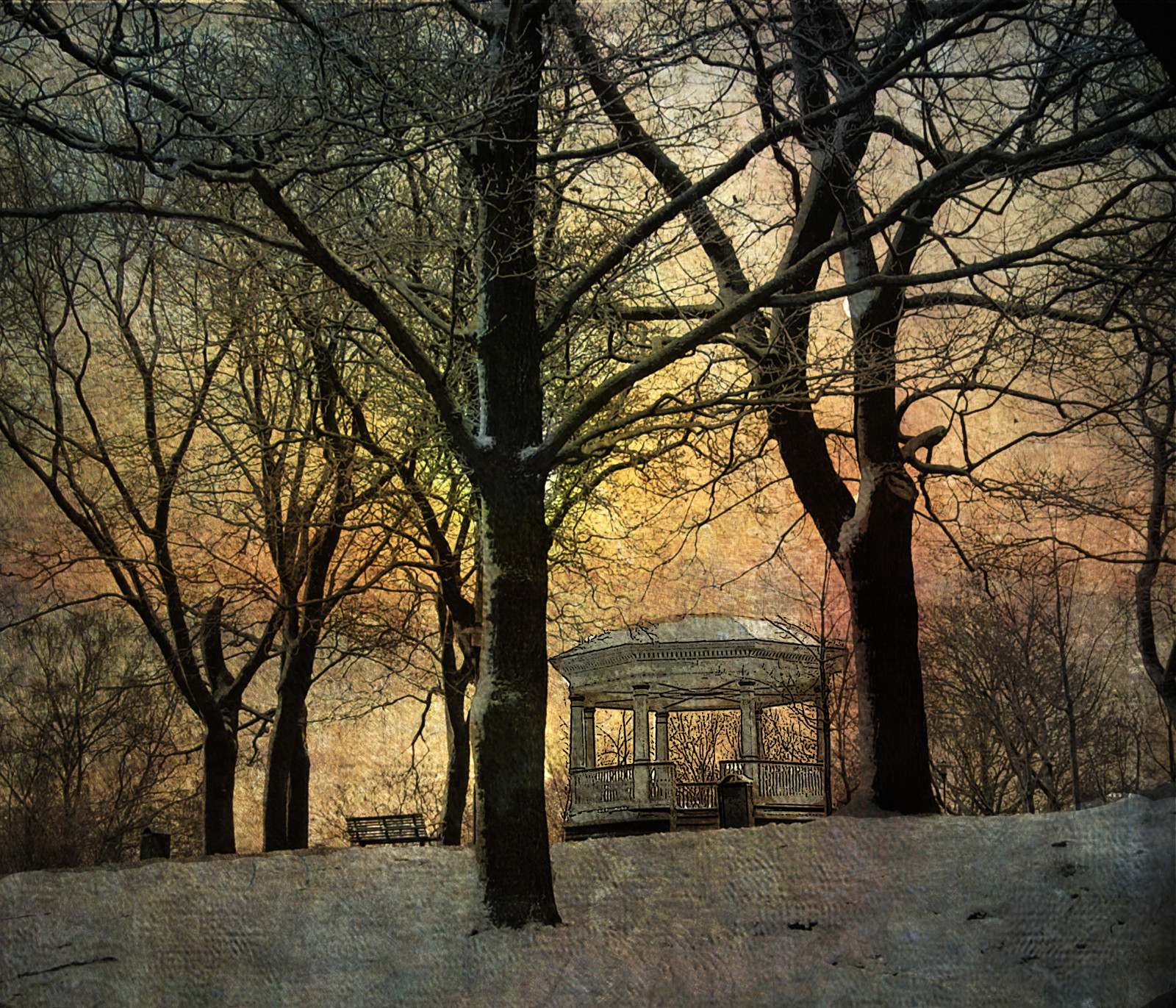 slunečnímu záření, stromy, krajina, les, Photoshop, západ slunce, noc, Příroda, nebe, sníh, zima, dřevo, větev, večer, ráno, lavice, textura, atmosféra, jaro, strom, podzim, list, západ slunce, rostlina, tma, pavilón, zálesí, háj, photomix, počítač tapeta, dřevina, kimklassentexture, kerstinfrankart, Echopavilion, stock photography