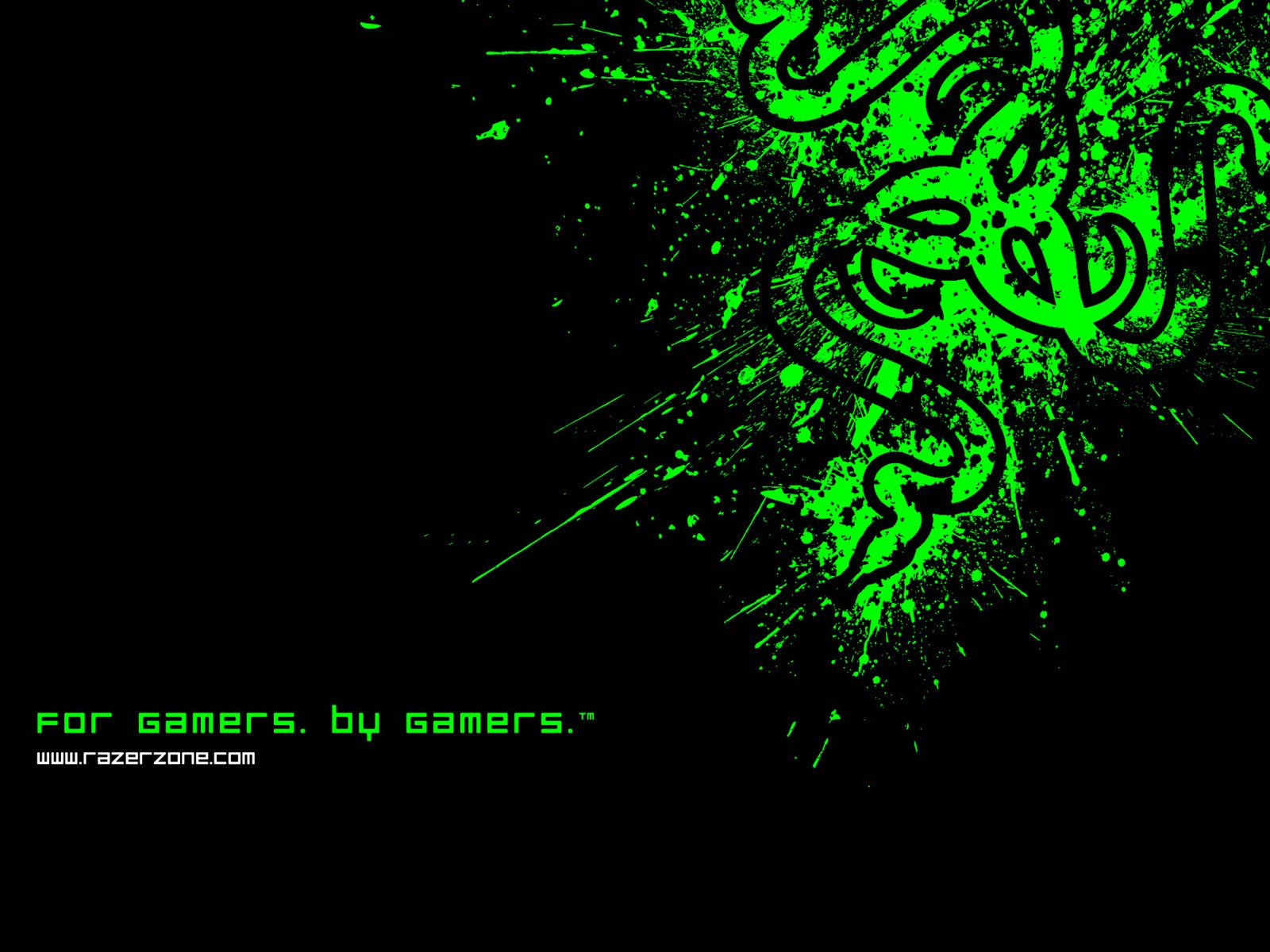 hmyz, zelená, Razer, biologie, Brouk, čára, Snímek obrazovky, font, bezobratlý