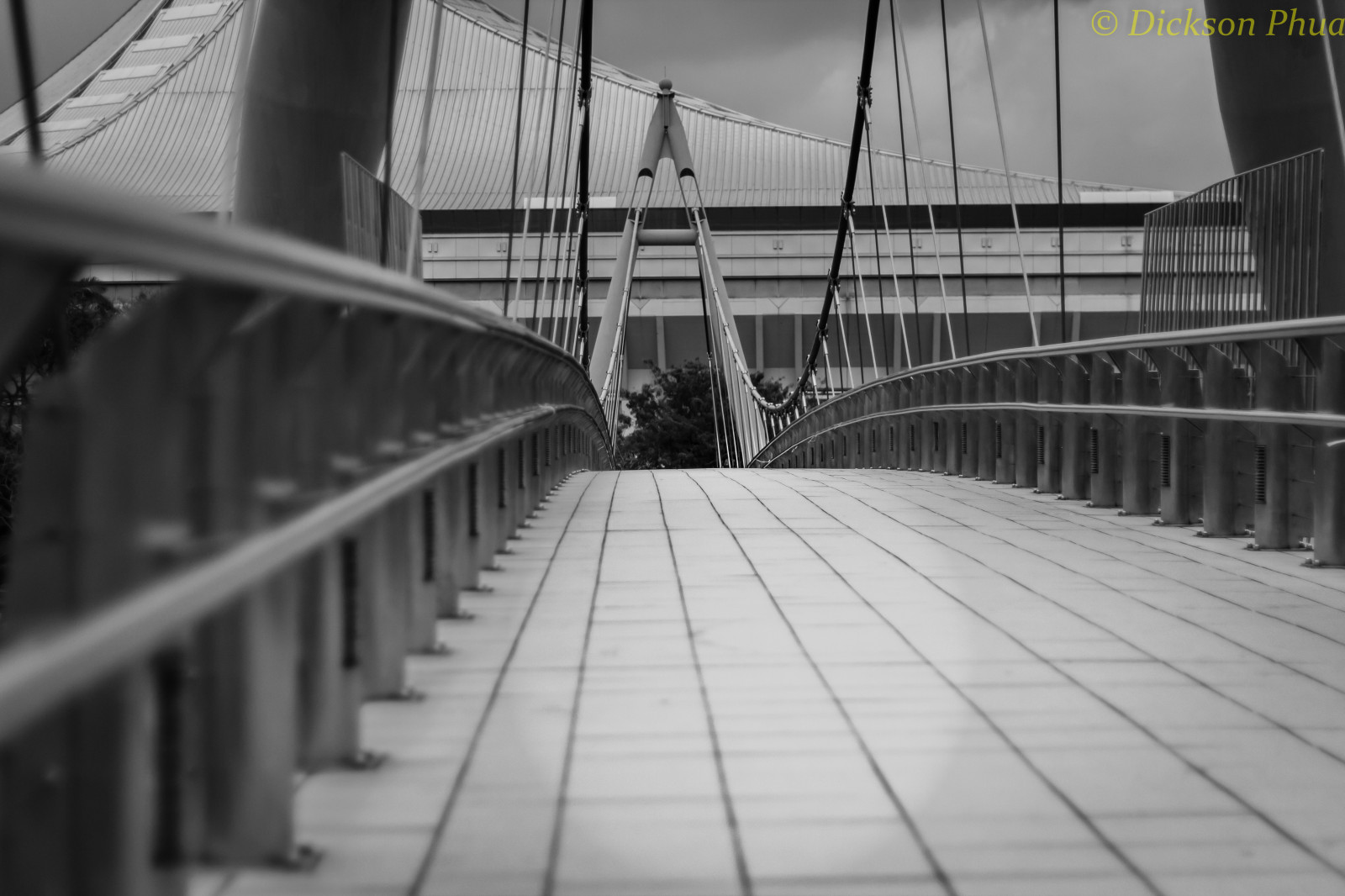 sportovní, bílý, Černá, černobílý, architektura, Singapore, budova, fotografování, symetrie, most, řeka, stadión, visutý most, metropole, struktura, infrastruktura, úhel, pěší, zábradlí, Mono, 1998, světlo, stanice, tělesné, krytý, čára, fotografie, rozbočovač, mezník, Geylang, momentka, pruh, suspenze, urban area, Černý a bílý, monochromatické fotografování, Metropolitní oblast, denní osvětlení, sg, dálnice, most pro pěší, Tanjong, mr T, Rhu, fixed link