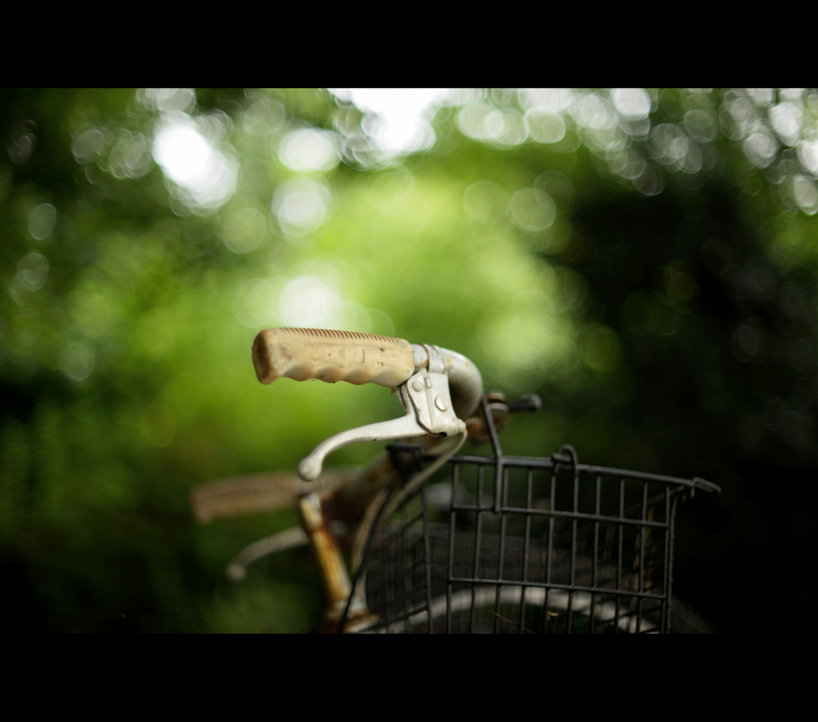 luce del sole, vecchio, natura, bicicletta, riflessione, erba, campo, fotografia, ramo, Rompere, bicchiere, Nikon, annata, vita, telaio, cestino, freno, confine, Hannover, AM, f14, leggero, albero, NIKKOR, 50 millimetri, la zona, foglia, pianta, pieno, riflessi, flora, gdl, bicicletta, profondità, veloce, per, fx, più vecchio, pneumatico, privato, fotografia macro, numeri primi, leva, oof, millesimo di pollice, maniglia, Fiddy, di, Milly, Hoot, Fiffty