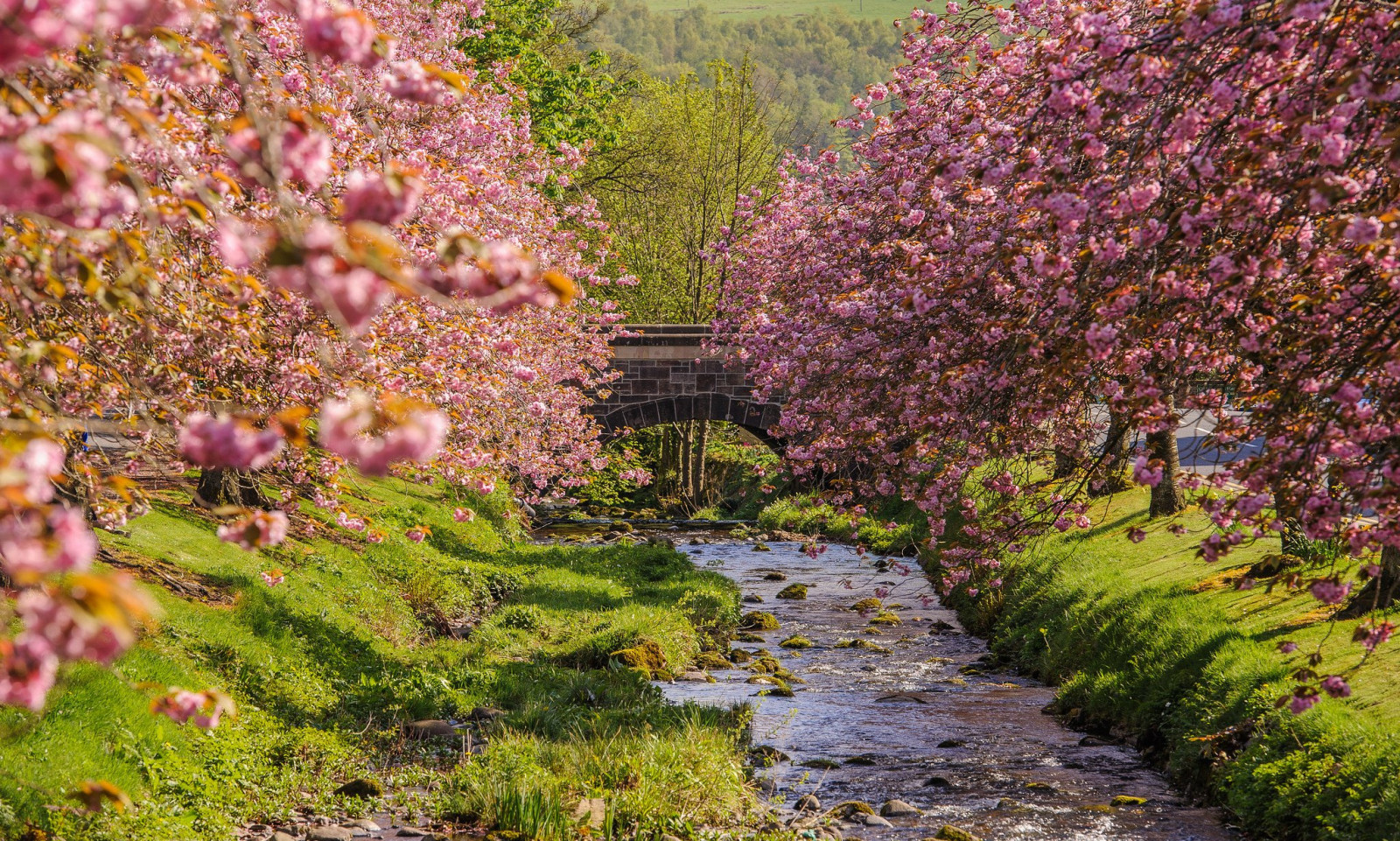 2048x1231 px, arkitektur, bro, by, jern, landskaber, natur, floder, klippe, tapet, vand