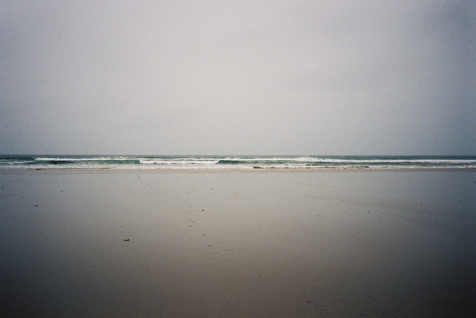 oceán, moře, film, fotografování, báseň, obilí, sen, t5, jednoduchý, YASHICA, lordbyron, supertramp, do divočiny, bazzerio