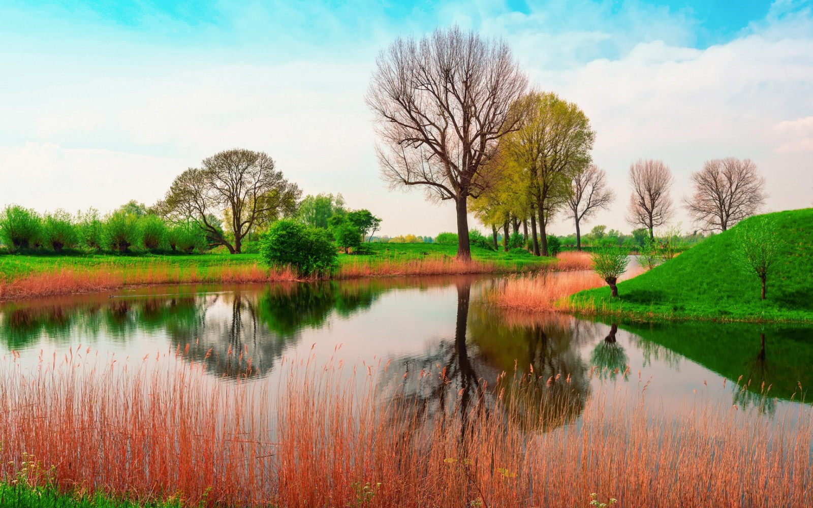 Wallpaper : trees, landscape, lake, water, nature, reflection, morning ...