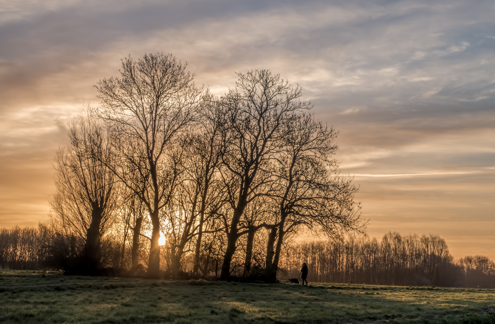slunečnímu záření, stromy, krajina, západ slunce, kopec, Příroda, tráva, nebe, pole, větev, svítání, večer, ráno, mlha, Pes, slunce, horizont, atmosféra, soumrak, Osoba, mrak, strom, podzim, svítání, rostlina, sezóna, žena, prérie, venkov, atmosférický jev, dřevina, middendelfland, otherkeywords, Vlaardingen, sundawn
