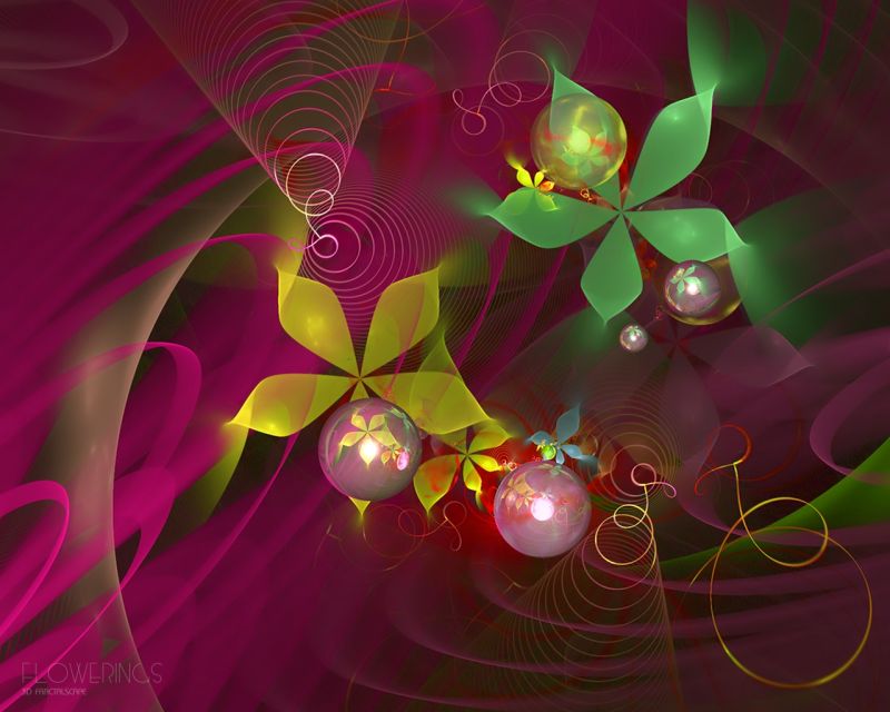flowers, red, circle, sunlight, illustration, branch flowers, red, circle, sunlight, illustration, branch
