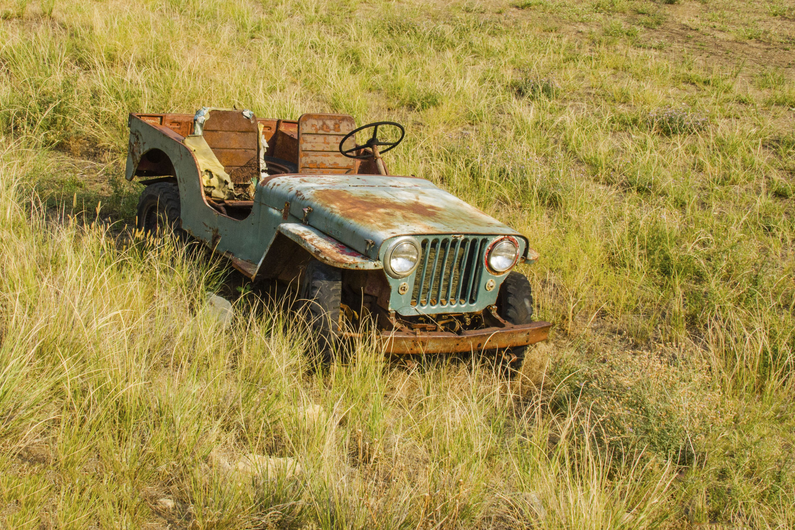 Fondos de pantalla antiguo, abandonado, vehículo, campo, verde, Nikon, roto, Jeep, Idaho