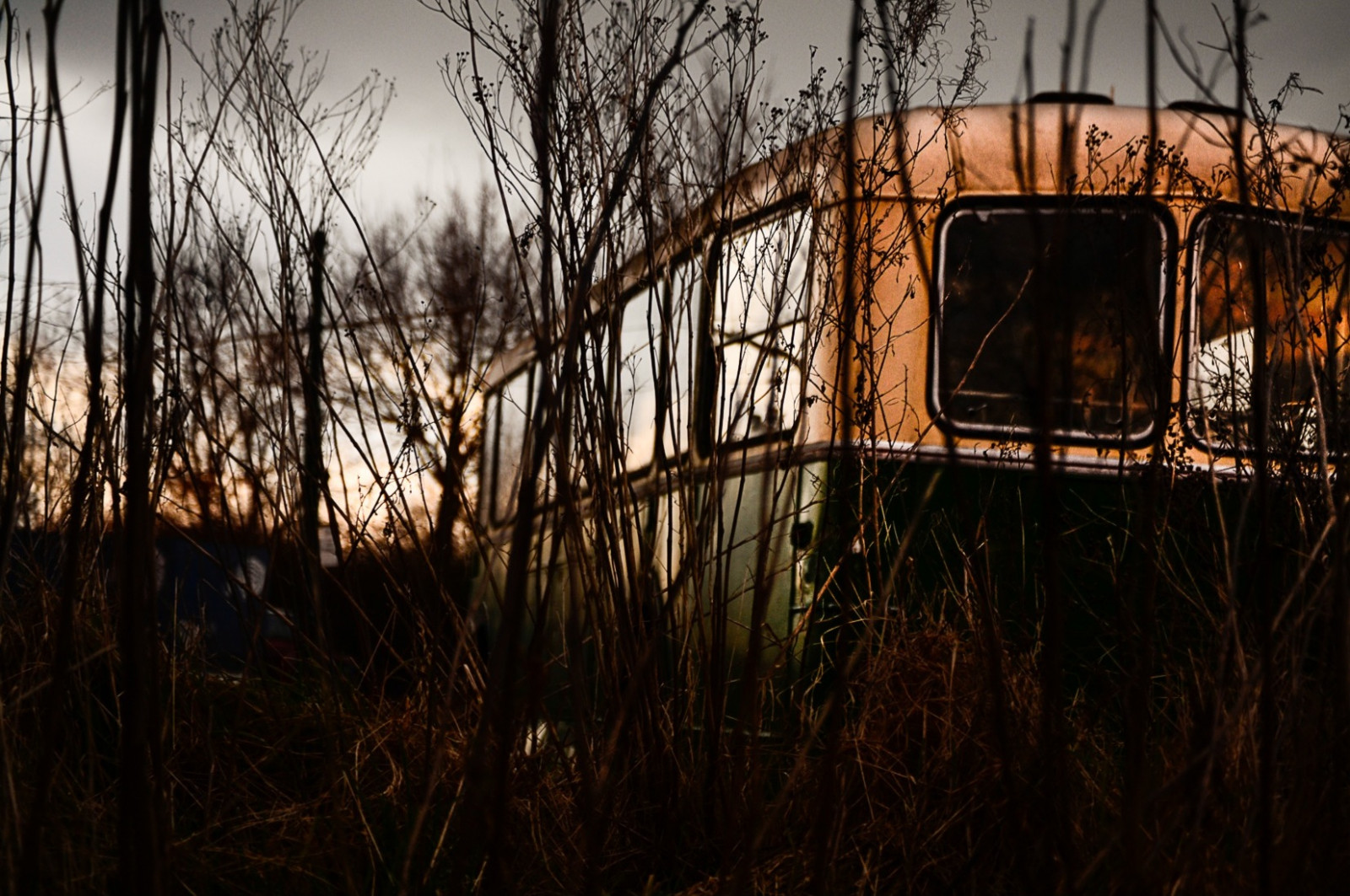 slunečnímu záření, les, bílý, západ slunce, noc, Příroda, auto, odraz, tráva, zima, pole, dřevo, Dům, zelená, večer, ráno, Alexander, světlo, strom, autobus, podzim, divoký, vert, sezóna, vysoký, de, tma, výlet, Soleil, chroupat, blanc, cesta, plavby, soir, Lumiere, couche, venkov, místo výskytu, přírodní prostředí, do, dnes večer, 142, Hautes, opuštěni, supertramp, herbes, abandonn e