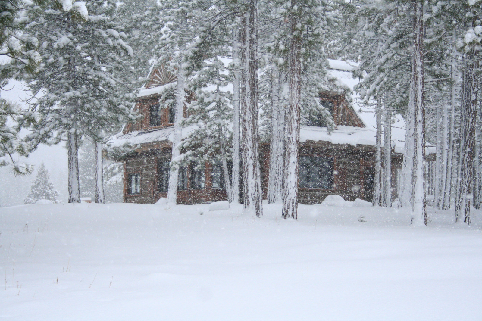 træ, sten-, arkitektur, log, kabine, laketahoe, bjælkehytte, chalet, Sierras, træhus, highsierras, viking, stavechurch, træskæring, Vikingsholm, teak, Zakopane, hutte, træskærerarbejder, Stavkirke, Portola, metalroof, Vorwerk, mountaincabin, europeanarchitecture, polisharchitecture, alpinestyle, alpinearchitecture, parkitecture, logstone, nordicstyle, grizzlyranch, logandstone, zakopaneinthesierras, zakopanestyle, alpinedecor