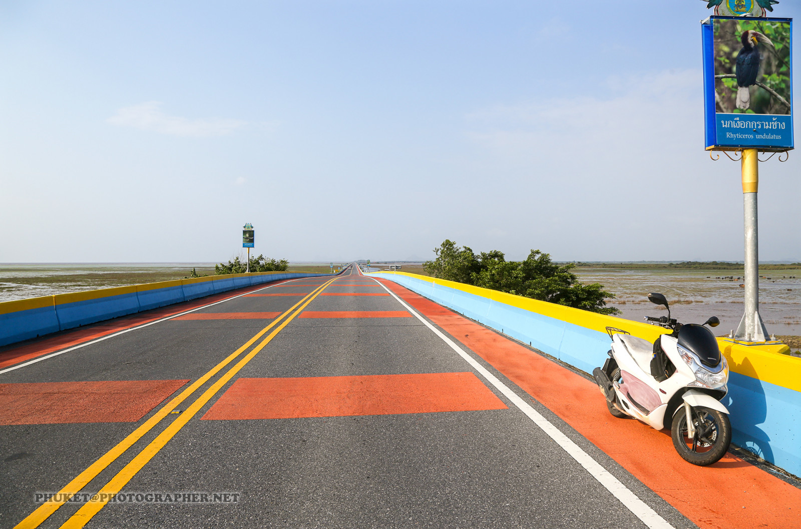 barca, mare, giardino, lago, acqua, erba, cappello, motociclo, veicolo, strada, caffè, vento, isola, Honda, tè, Malaysia, cactus, autostrada, Guidare, passerella, asfalto, pesca, confine, Camion, bufalo, infrastruttura, montagna, fiore, oceano, onda, gara, superficie, punto di vista, Phuket, yai, Noi, moto, cameron, Highlands, Provincia, Penang, georgetown, pcx, piantagione, Phangnga, thale, Songkhla, ipoh, Generatore, catturare, maiale, corsia, pista, Autostrada