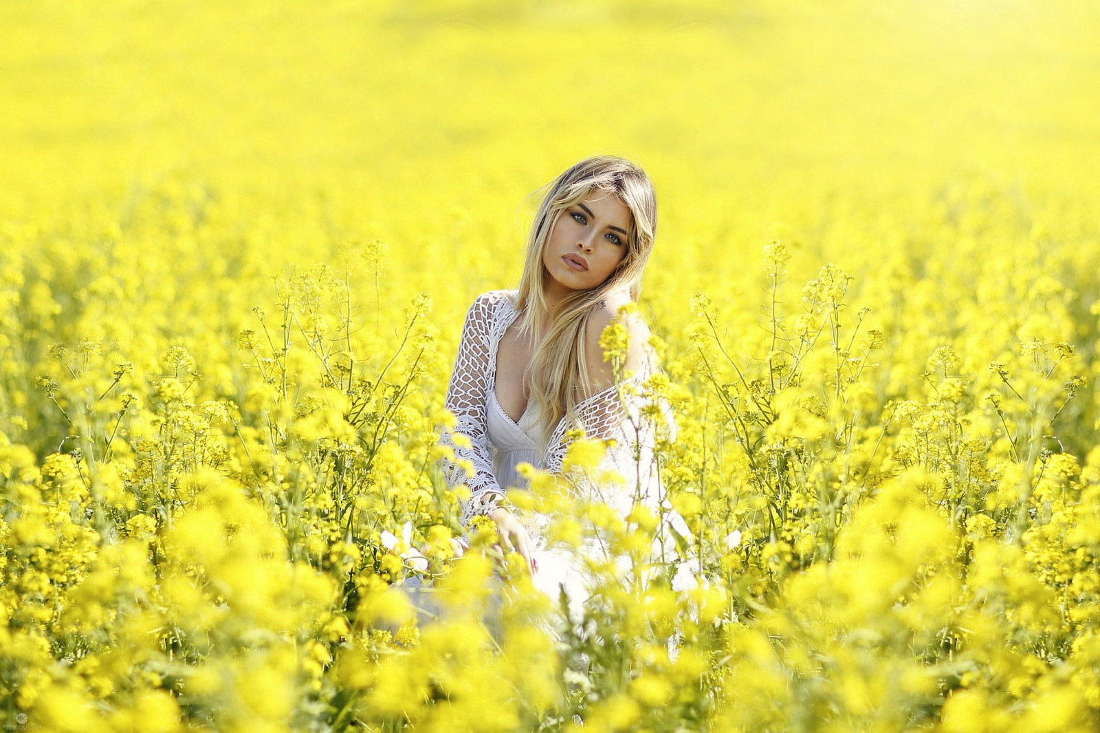 อาหาร, ผู้หญิงนอกบ้าน, ผู้หญิง, สีบลอนด์, ดอกไม้, ธรรมชาติ, ดอกไม้สีเหลือง, พืช, ฟิลด์, สีเหลือง, Rapeseed, ดอกไม้, ปลูก, คาโนลา, เกษตรกรรม, ทุ่งหญ้า, ทุ่งหญ้า, พืช, ผลิต, โรงงานที่ดิน, พืชดอก, ครอบครัวหญ้า, ผัก, Braseriaica, มัสตาร์ด, โรงงานมัสตาร์ด, brassica rapa, มัสตาร์ดและครอบครัวกะหล่ำปลี