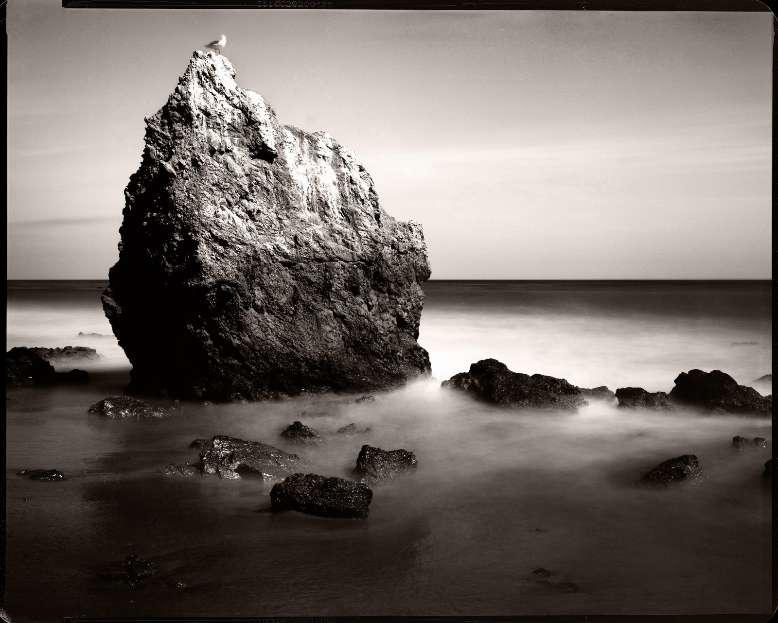 Malibu, ibenholt, Gitzo, elmatador, Rodenstock, elmatadorbeach, pyrocathd, rw810