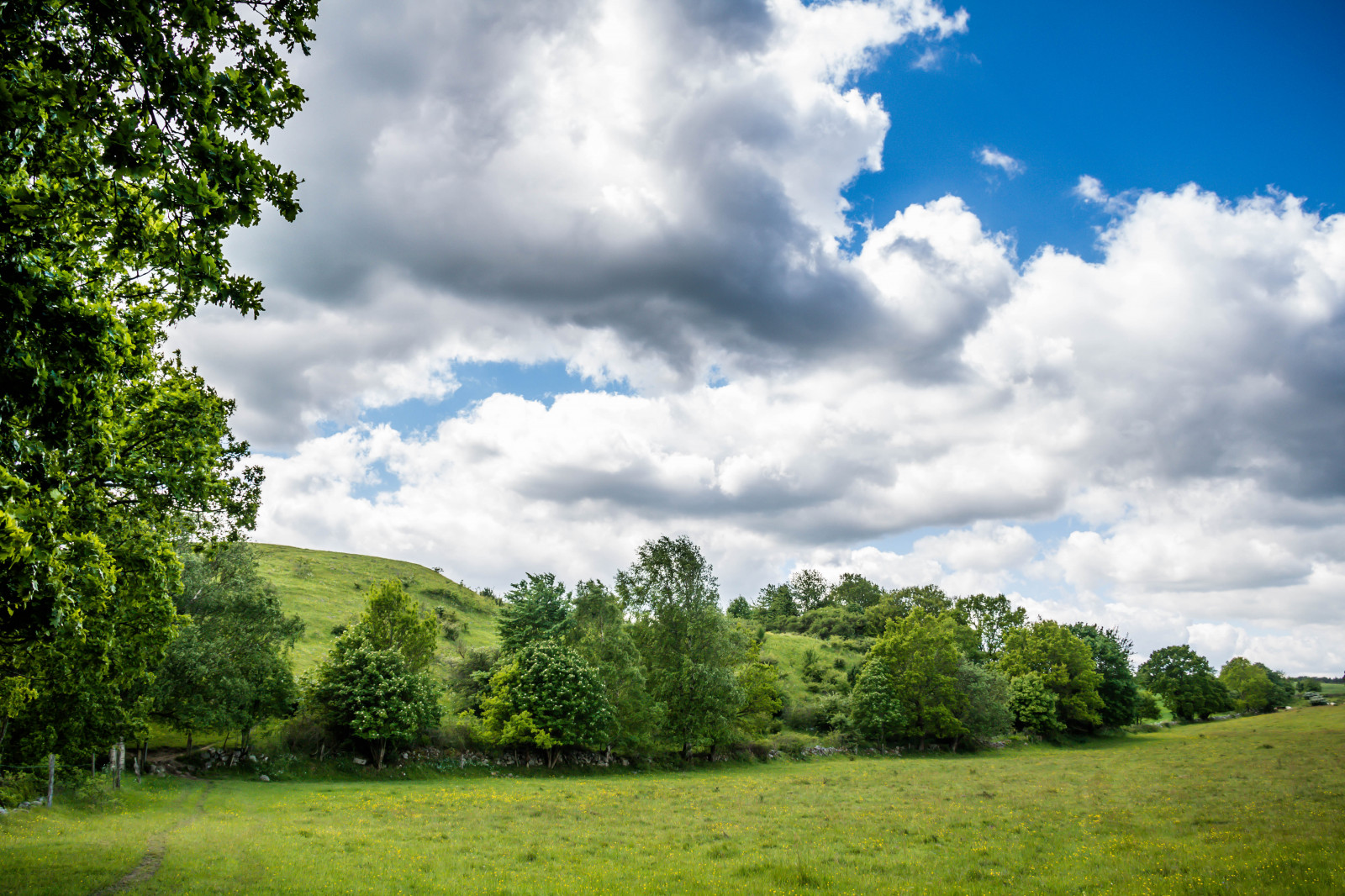 slunečnímu záření, krajina, les, kopec, Příroda, tráva, nebe, pole, zelená, horizont, mrak, strom, lučina, rostlina, pastvina, sterlen, exif modelu canoneos760d, Kamera aby kánon, Model fotoaparátu canoneos760d, geolocation, EXIF čočka efs18200mmf3556is, exif aby kánon, EXIF isospeed 100, EXIF otvor 80, exif focallength 18mm, gr n, br sarpsbackar, Kulle, br Sarp, louka, prostý, trávník, zálesí, prérie, venkov, místo výskytu, přírodní prostředí, dřevina, ekosystém, meteorologický jev