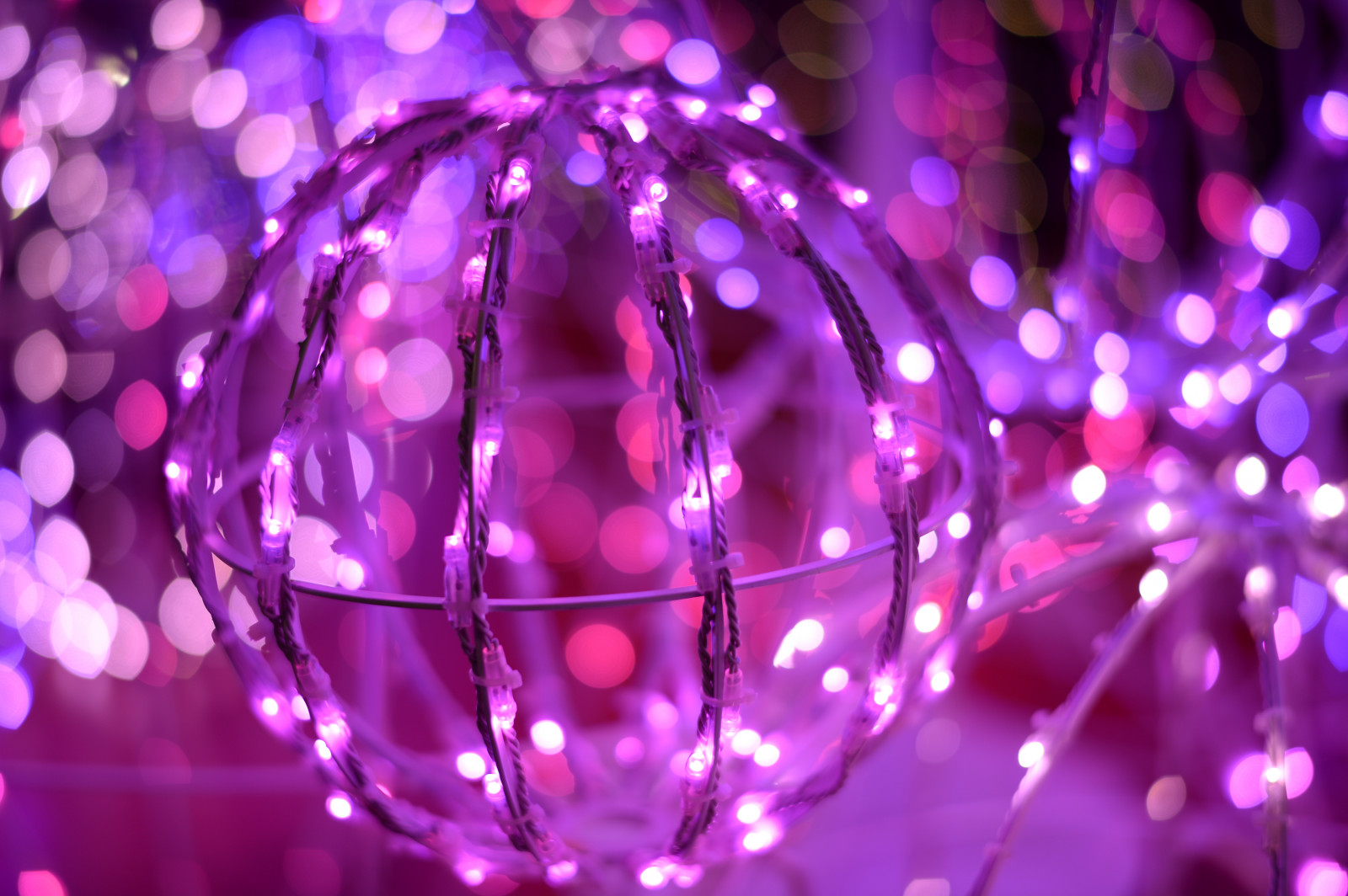 Japonsko, kruh, Nikon, Vánoční osvětlení, Tokio, disko, jp, světlo, NIKKOR, květ, osvětlené, osvětlení, tvar, Shinjuku, df, afs58mmf14g, afsnikkor58mmf14g, myload, vánoční dekorace