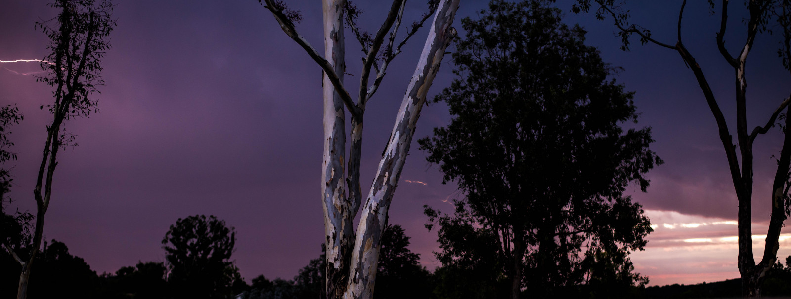 krajina, les, noc, Příroda, nebe, déšť, nachový, hluk, větev, Blesk, bouřka, večer, Kalifornie, atmosféra, soumrak, hrom, půlnoc, elektřina, elektrický, výstřel, jiskra, DOPOLEDNE, světlo, expozice, barva, mrak, západ, strom, záře, počasí, svítání, crack, rostlina, krása, bouřka, tma, hlasitý, pop, lesk, počítač tapeta, Atmosféra Země, dřevina, meteorologický jev, jev, vztek, výbuch