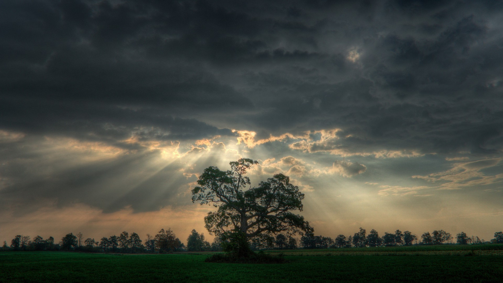luce del sole, alberi, tramonto, natura, cielo, campo, Alba, tempesta, sera, mattina, i raggi del sole, orizzonte, atmosfera, crepuscolo, nube, albero, tempo metereologico, alba, temporale, oscurità, pianura, 1920x1080 px, area rurale, fenomeno atmosferico, fenomeno meteorologico