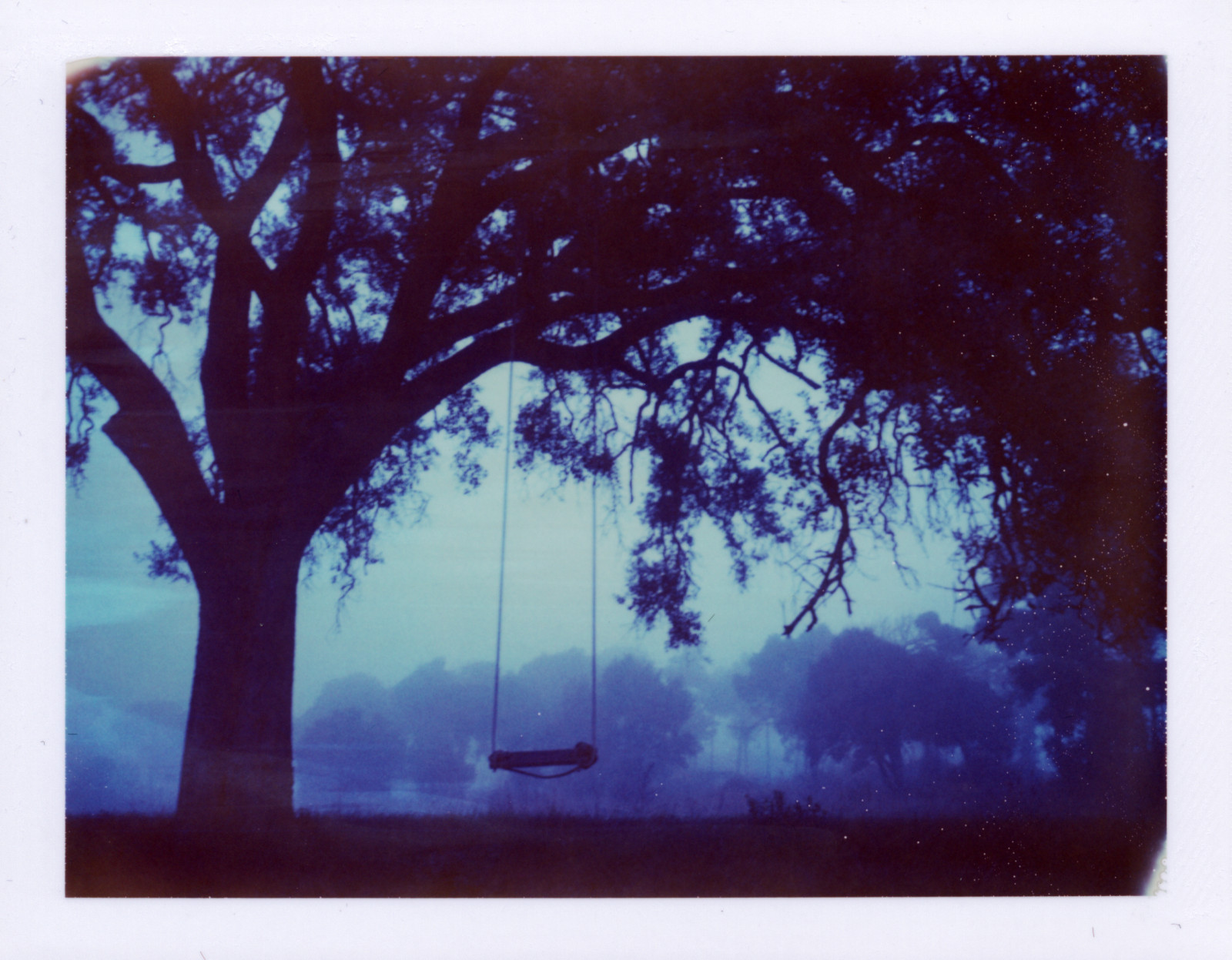 stromy, malování, nebe, umělecká díla, nachový, větev, modrý, houpačka, Polaroid, UMĚNÍ, strom, mlha, okamžitý, větve, malovat, prošlý, panpola, 669, moderní umění, akrylová barva, akvarel barvy, autaut, rám obrazu, landcamera, automatic100, Expired2008, visual arts