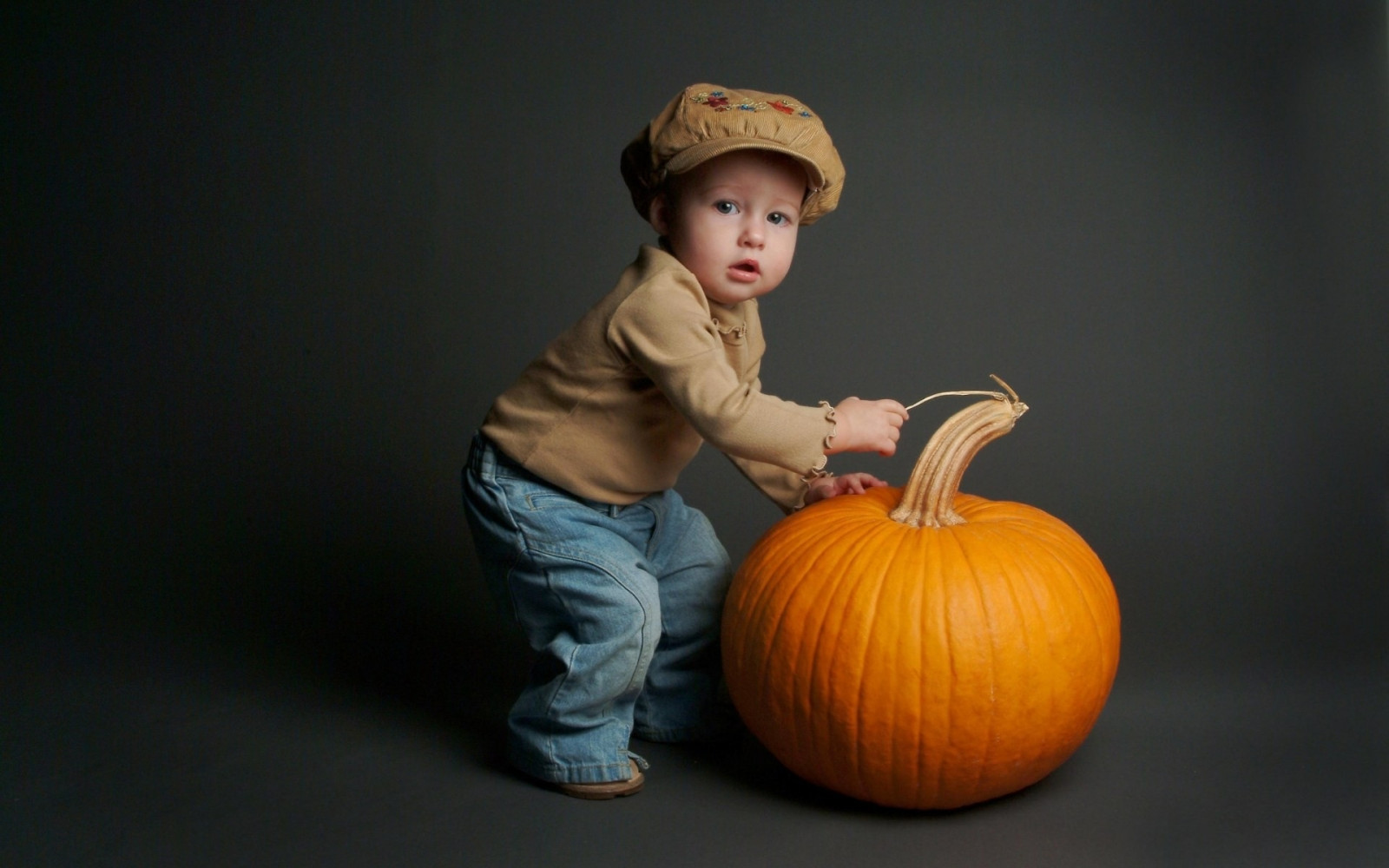 Wallpaper pumpkin, yellow, baby, blue 1920x1200 goodfon 1103247