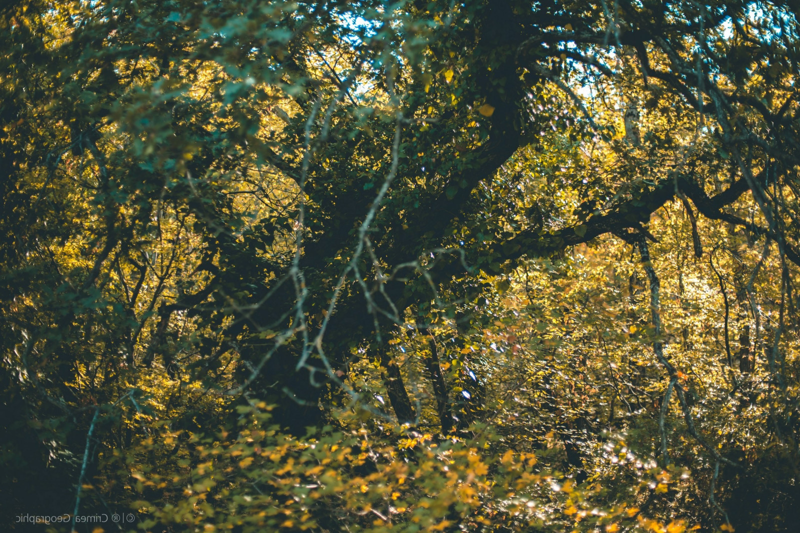 2560x1707 px, Krym, Příroda