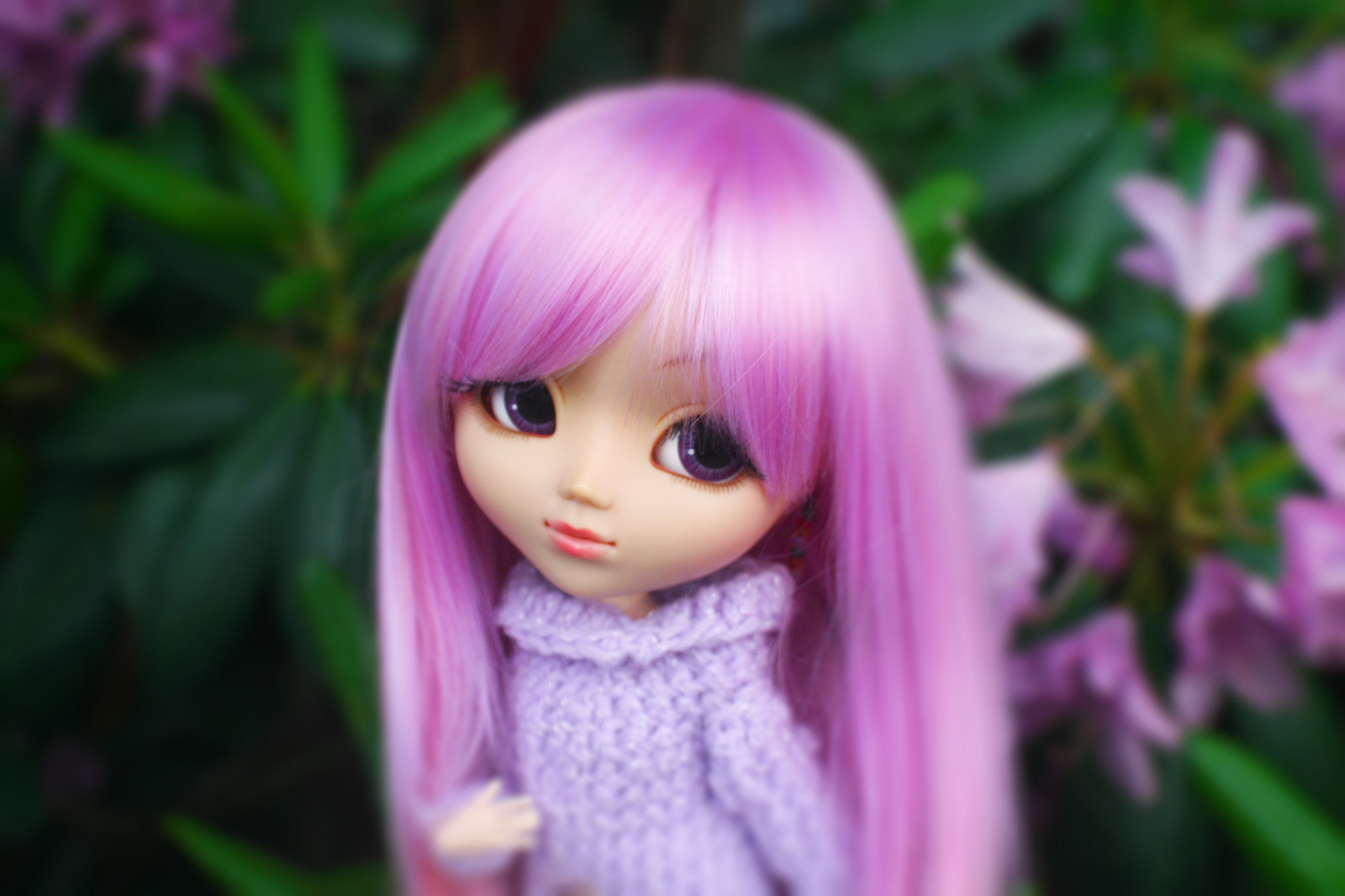 hračky, oči, květiny, dlouhé vlasy, milovat, tráva, nachový, zelená, Fotoaparát, černé vlasy, Denim, Kánon, svetr, rty, vinobraní, Hračka, růžový, jaro, Dánsko, panenka, n, příze, Duhovka, šeřík, rebel, 2016, 2006, velký, květ, roztomilý, rozkošný, rostlina, dívka, oko, telefony, p, úžasný, klasický, ruční, týden, s, xt, půvabný, elegantní, střevíc, panenky, připoutá, vy, pullip, paruka, obitsu, rewigged, hnědé vlasy, člověk barva vlasů, barvení vlasů, zblízka, lesklý, pullips, Papin, beutiful, formydoll, soll, torando, denium, spekulovat, vontage, 25cm, hapines, zvláštnost, sblythe