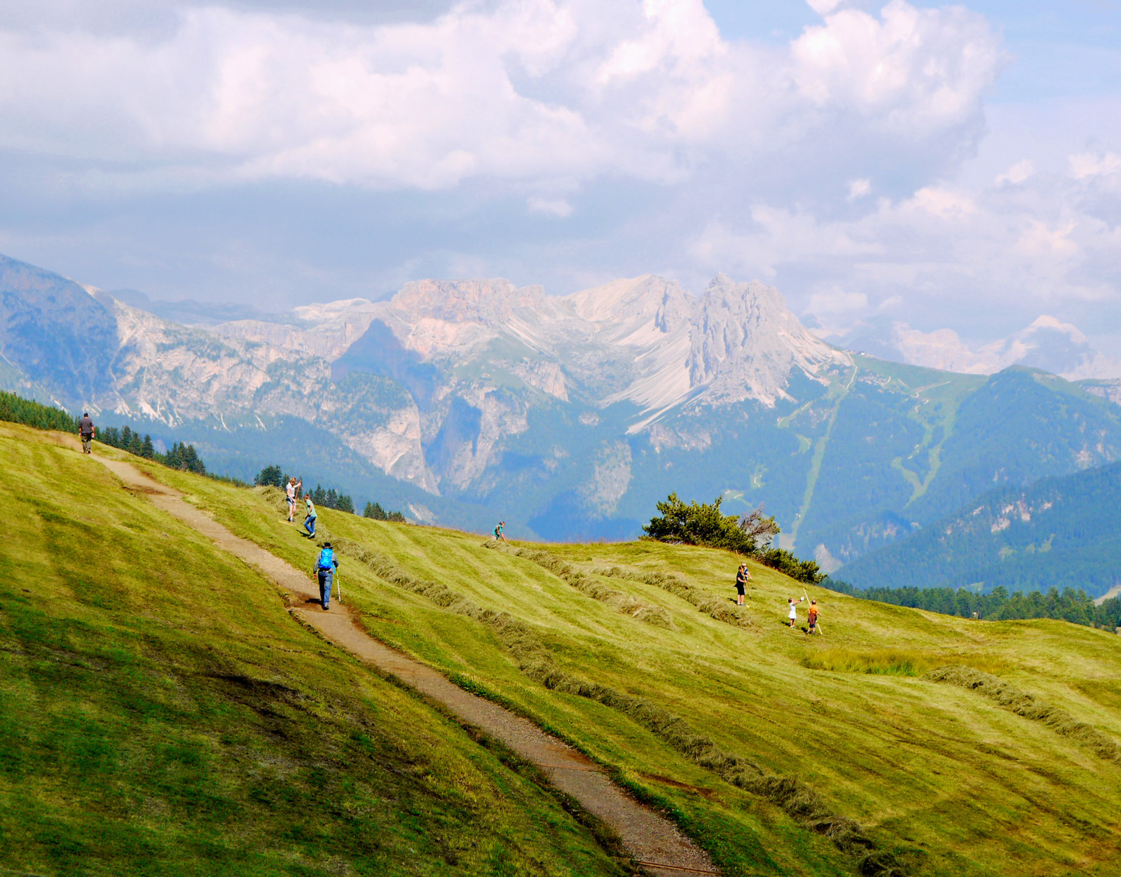 krajina, hory, kopec, Příroda, tráva, nebe, pole, Cestovní ruch, národní park, údolí, horský průsmyk, divočina, cesta, Alpy, mount scenérie, plošina, Lake District, step, hřbet, mrak, strom, hora, lučina, masiv, pastvina, louka, prostý, gente, vysočina, prérie, dolomiti, Prati, horských reliéf, pohoří, stanice hill, meteorologický jev, klesl, poeple, fieno, ekoregion, Sentiero, alpedisiusi, nadmořská výška, fienagione