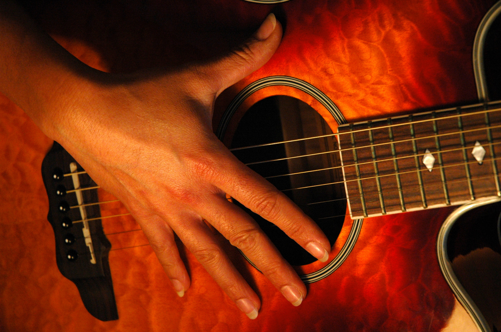 Wallpaper musician, music, Nikon, tour, hand, singing, guitar, song