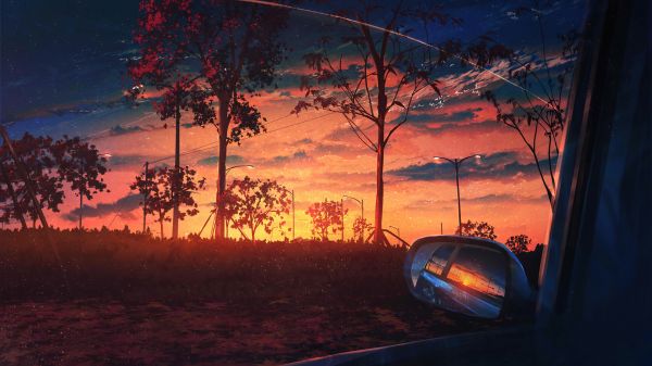 clouds,sunset,sunset glow,trees,rearview mirror,field