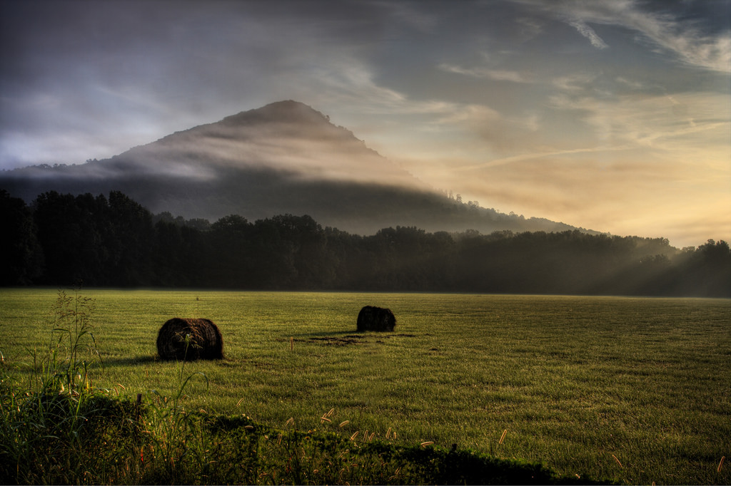 ทุ่งหญ้า, ธรรมชาติ, ไฮแลนด์, ท้องฟ้า, ฟิลด์, รุ่งอรุณ, เช้า, ทุ่งเลี้ยงสัตว์, ทุ่งหญ้า, บรรยากาศ, หญ้า, ถิ่นทุรกันดาร, หมอก, เนินเขา, ต้นไม้, เขตชนบท, แสงแดด, ที่ราบ, ตอนเย็น, แนวนอน, เมฆ, พระอาทิตย์ขึ้น, ปรากฏการณ์, อุทยานแห่งชาติ, ขอบฟ้า, ทุ่งหญ้า, ภูเขา, ฟาร์ม, อีโครีเจียน, Lake District, วอลล์เปเปอร์คอมพิวเตอร์, พลบค่ำ, mount scenery, ทะเลสาบ, ลดลง, ครอบครัวหญ้า, ปรากฏการณ์ทางอุตุนิยมวิทยา