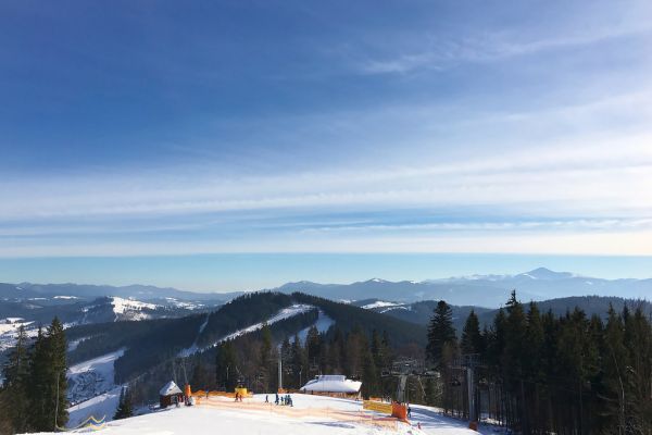 trees, landscape, forest, white, mountains, hill