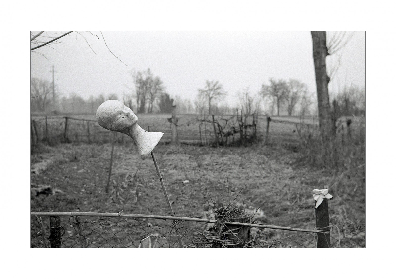 krajina, černobílý, tráva, fotografování, Fotoaparát, nádrž, objektiv, rozvoj, 35MM, úhel, 1971, 100, Epson, strom, tělesné, fotografie, film, sovětský, monocromo, lomo, 135, mld, dálkoměr, analogový, kompaktní, blackwithe, lodi, Lodigiano, Černý a bílý, monochromatické fotografování, pellicola, bianconero, analogica, FOMAPAN, drátěné pletivo, allaperto, domácí výroba, ADOX, V600, na palubě, ap, automat, adonal, 137, Basiasco, Belvignate, Domácí zvířata, Světelný indikátor, Sokol, Industar70, 12850 mm, 19 c, stock photography