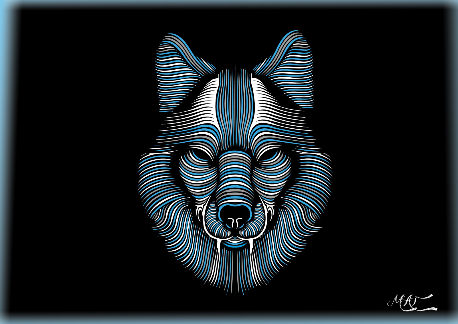 tekening, illustratie, dieren, spotprent, wolf, hoofd, KUNST, schetsen