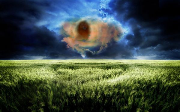 sunlight, landscape, nature, grass, sky, digital art