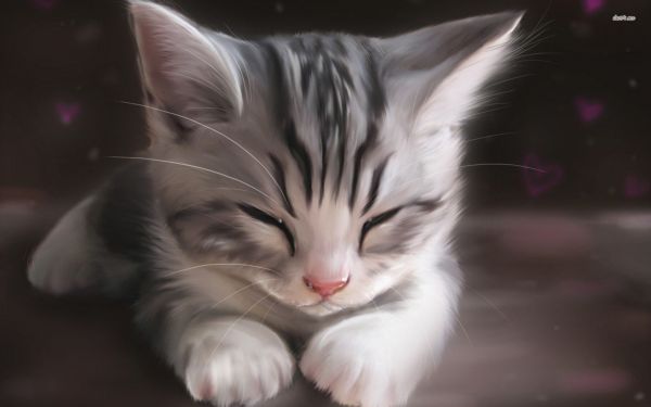 1920x1200 px,anime,cat,cute,painting