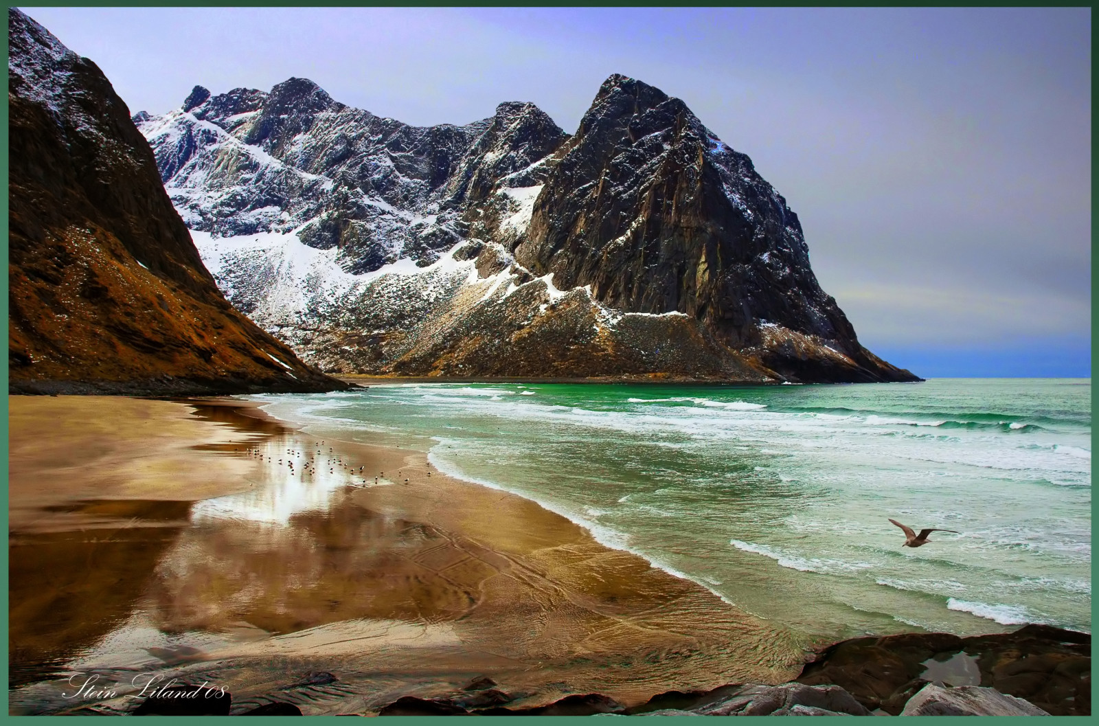 oceán, moře, hory, pláž, ostrov, záliv, písek, racek, pobřeží, Lofoten, ih, lofotenislands, naturesfinest, supershot, imagepoetry, flickrsbest, Removedfromnikkorfortags, mywinners, abigfave, shieldofexcellence, anawesomeshot, impressedbeauty, superbmasterpiece, diamondclassphotographer, ishflickr, onlythebestare, goldstaraward, Steinliland, Velrybí, photoartbloggroup