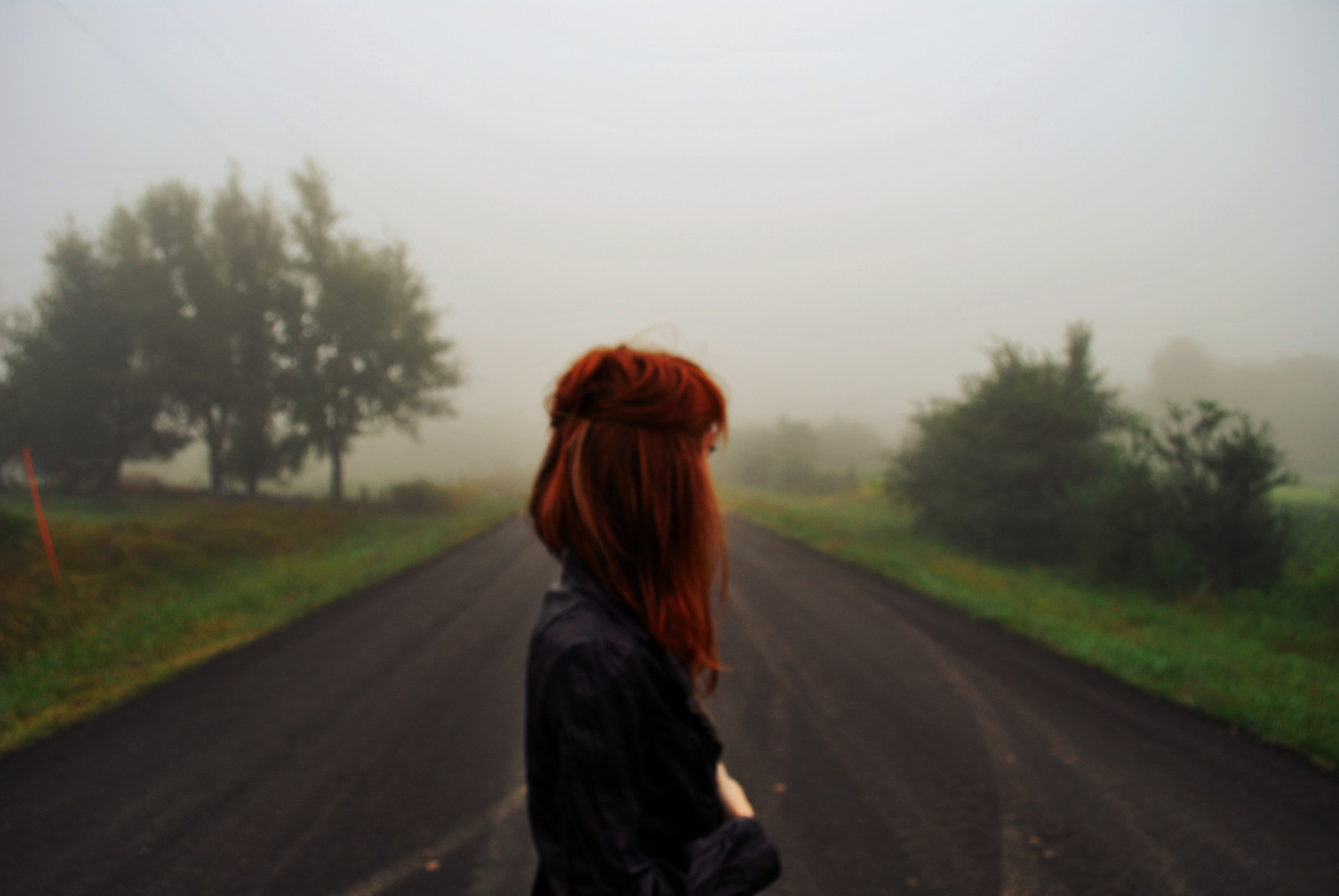 silnice, mlha, strom, kůže, mlha, Soustředit se, chodník, ryšavý, kožená bunda