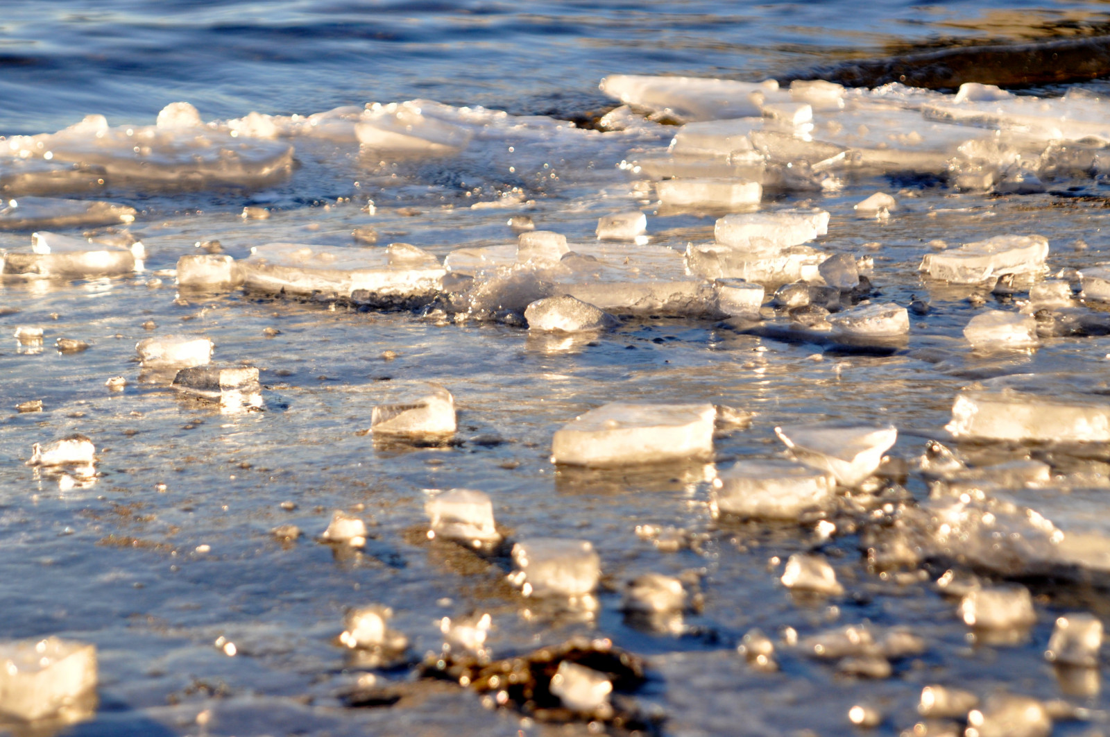 blauw, Chicago, ijs-, water, Illinois, evelyn, wolflake, nikond90, Ovallessp