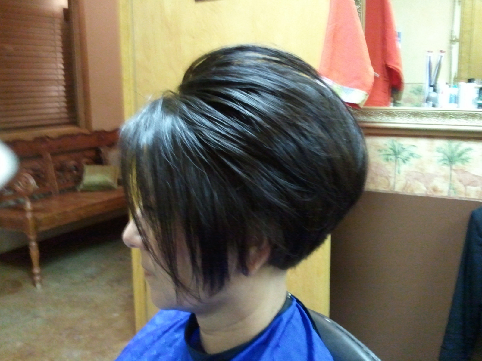 Wallpaper long hair, black hair, bangs, cypress, Houston, hairstyle