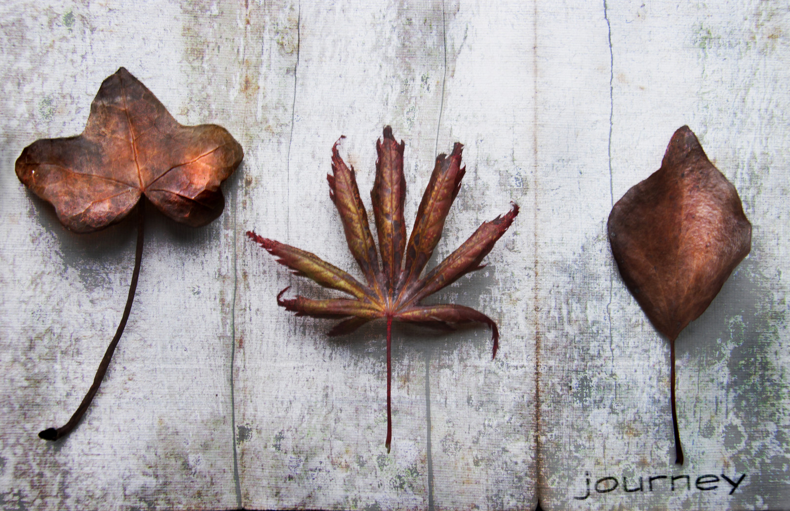 cestovat, barva, textura, mě, Krásná, já, naděje, vidět, odpoledne, lesk, cesta, víra, víra, obložit, dárkové předměty, cesta, jednoduchost, sny, změna, Řetězce, vrstvy, přání, pohodlí, jednoduchý, čistý, klid, nalézt, sebejistý, přijetí, smysl, připojení, singingbird