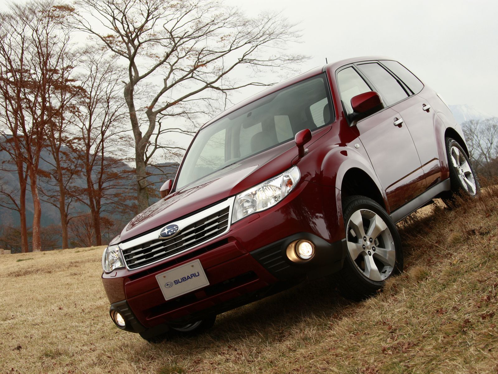 bil, køretøj, Subaru, 2013, netcarshow, netcar, bil billeder, bil foto, Forester, jord køretøj, automotive exterior, bil make, kofanger, crossover sUV, sport utility køretøj, kompakt SUV, mini sport utility køretøj