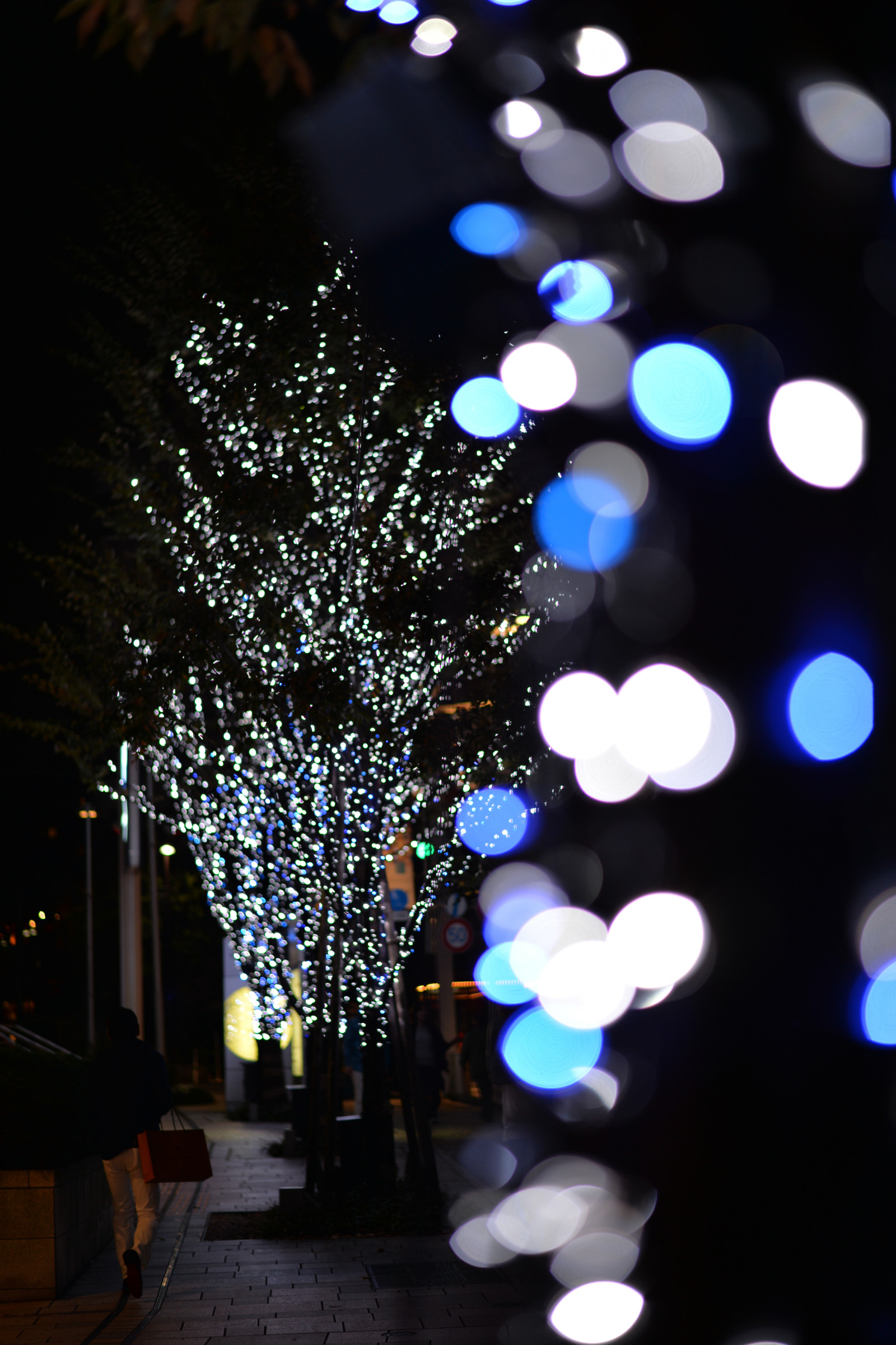 Japonsko, noc, větev, modrý, Vánoční strom, Nikon, Vánoce, Vánoční osvětlení, Tokio, jp, světlo, strom, NIKKOR, květ, osvětlené, osvětlení, osvětlení, tma, df, Roppongi, keyakizaka, afs58mmf14g, afsnikkor58mmf14g, osvětlit, výzdoba, vánoční dekorace