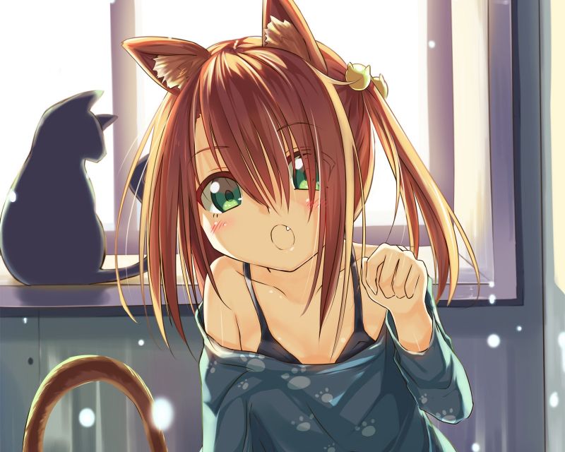 nekomimi, anime, zvieracie uši, ilustrácie, mačka dievča, chvost nekomimi, anime, zvieracie uši, ilustrácie, mačka dievča, chvost