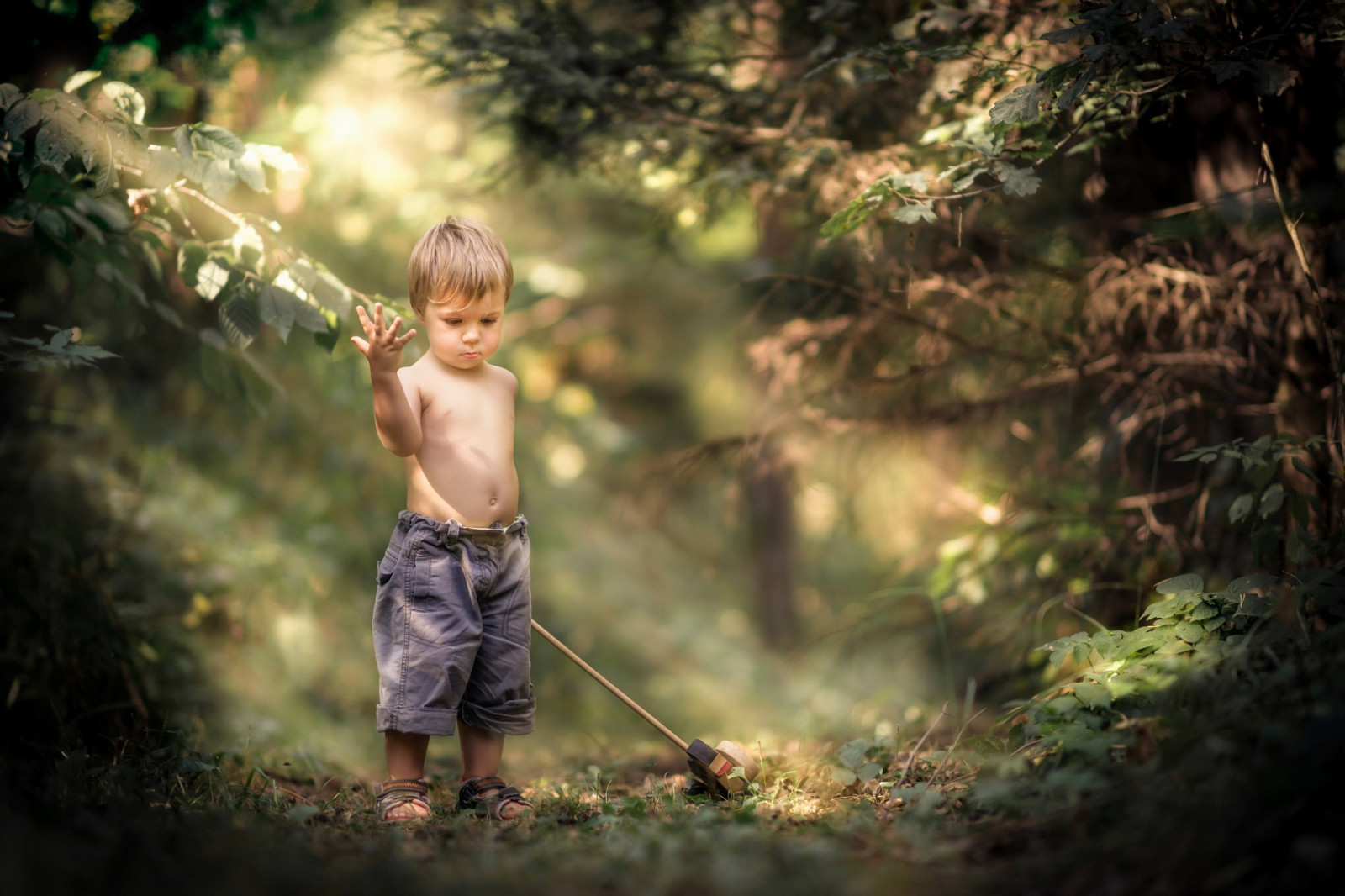 2048x1365_px_children_forest_Little_Boy_nature_Sun_Rays-642759.jpg!d