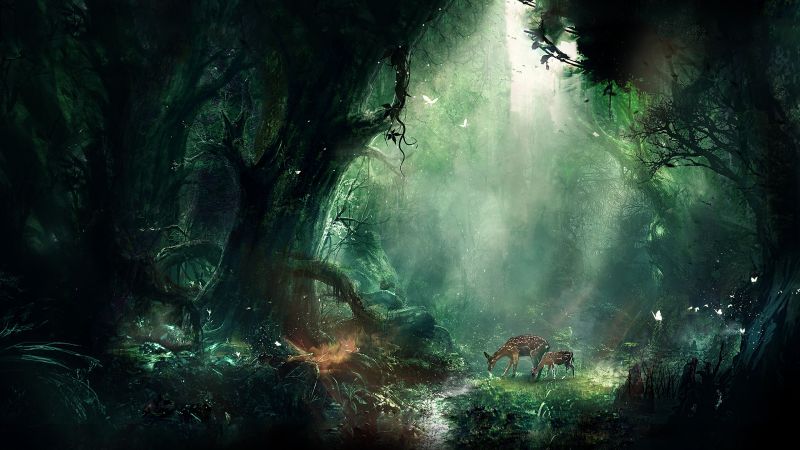 lumière du soleil, forêt, animaux, Art fantastique, la nature, réflexion lumière du soleil, forêt, animaux, Art fantastique, la nature, réflexion