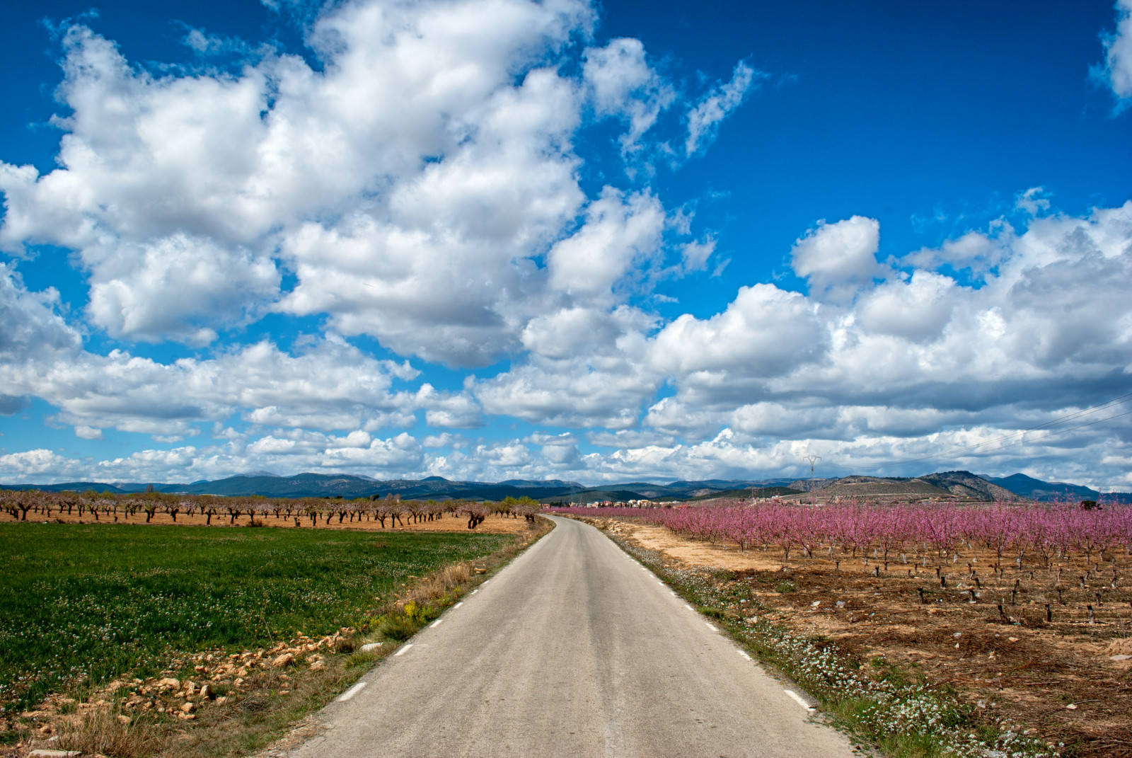 Fondos de pantalla : paisaje, vistoso, colina, naturaleza, césped