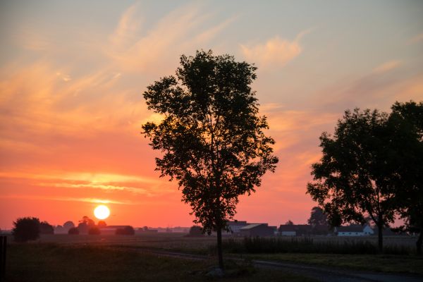 sunlight, landscape, sunset, nature, sky, field