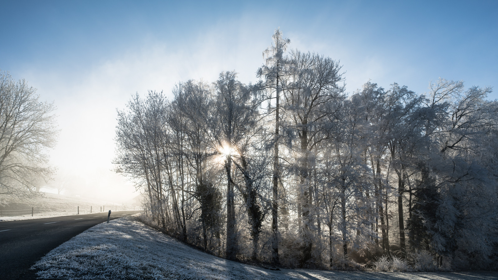 slunečnímu záření, krajina, les, Příroda, nebe, stín, sníh, zima, silnice, větev, svítání, led, večer, ráno, mlha, mráz, horizont, atmosféra, zmrazení, podsvícení, světlo, mrak, strom, mlhavý, mlha, Landschaft, rostlina, natur, carlzeiss, Wald, během dne, manuál, Ruč, a7rii, mf, Nebel, zálesí, počítač tapeta, dřevina, gegenlicht, jev, sonyilce7rm2, manuellerfokus, alpha7rm2, Manuell, Zeissloxia2128
