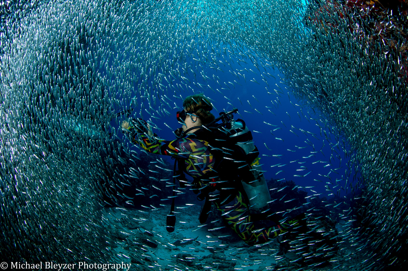 moře, voda, Pod vodou, potápění, Potápění, rekreace, mořská biologie, organismus, potápění, uw, kajman, ci, underwaterphotography, tarpon, silvercloud, Silversides, caymandiving, Aquanaut