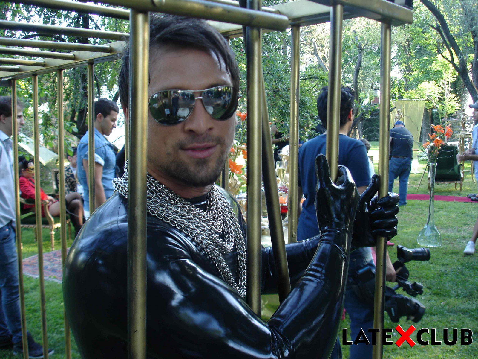 strom, rekreace, tráva