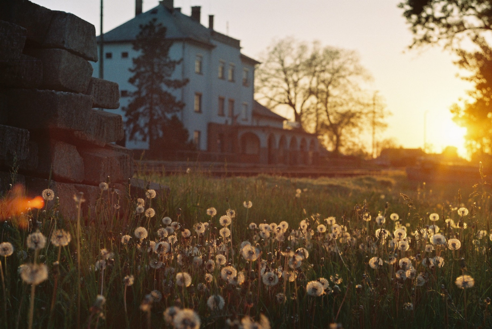 západ slunce, film, jaro, Maďarsko, pampeliška, vlakové nádraží, světlice, 100, zenit11, tudorcolor
